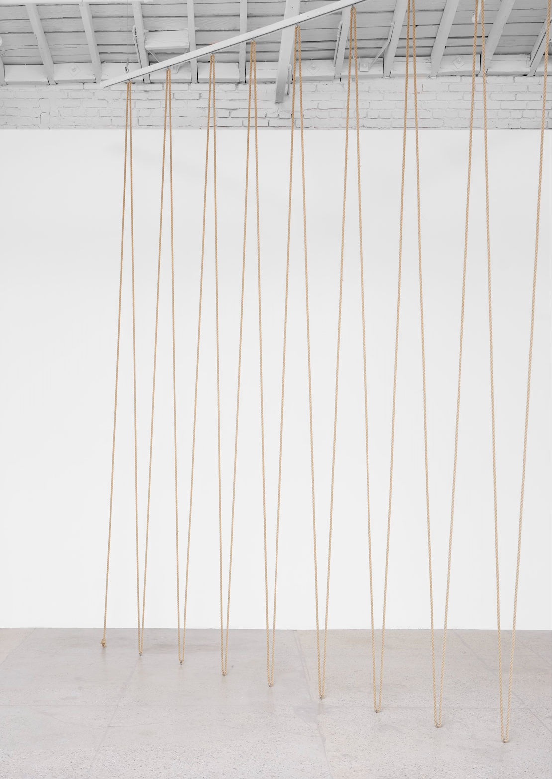 Leonor Antunes discrepancies with W.W., 2025 Hemp ropes Dimensions variable