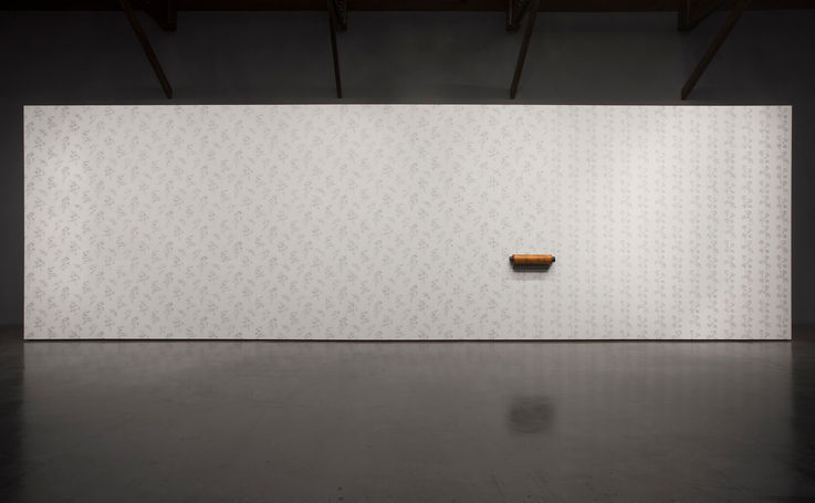 Anri Sala, All of a Tremble (Delusion/Devolution), 2017