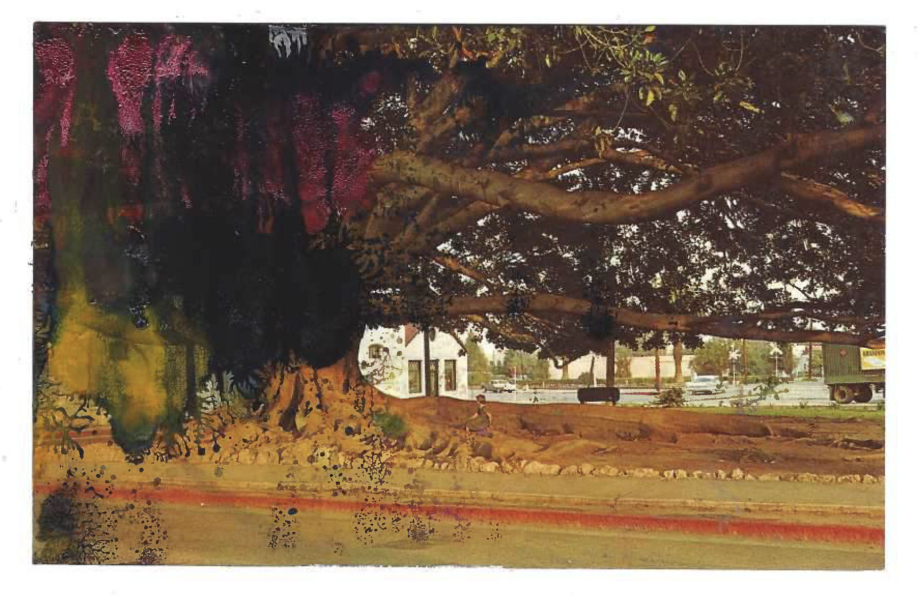 Tacita Dean Found Postcard Monoprint (Moreton Bay Fig Tree), 2018