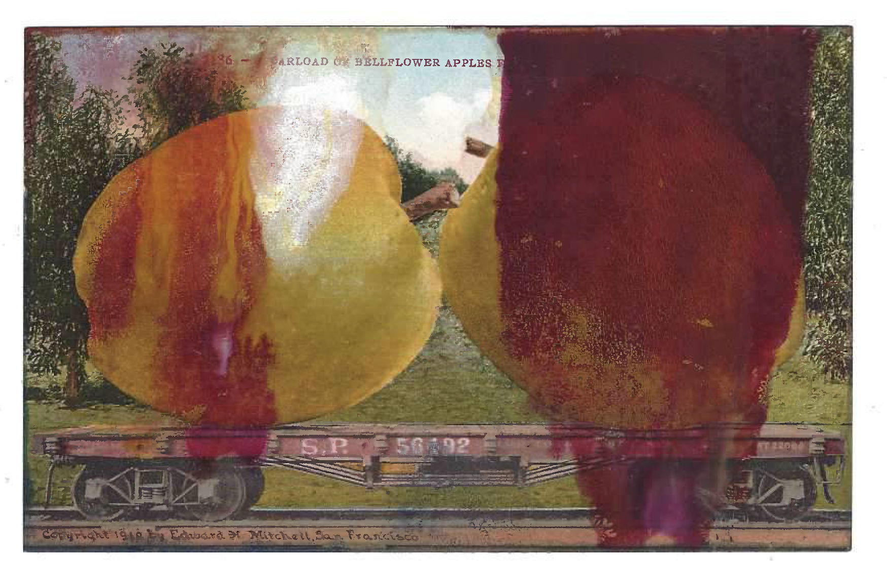 Tacita Dean Found Postcard Monoprint (Bellflower Apples), 2018