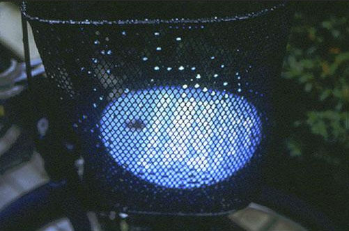 Gabriel Orozco Lluvia en Tokio, 2001