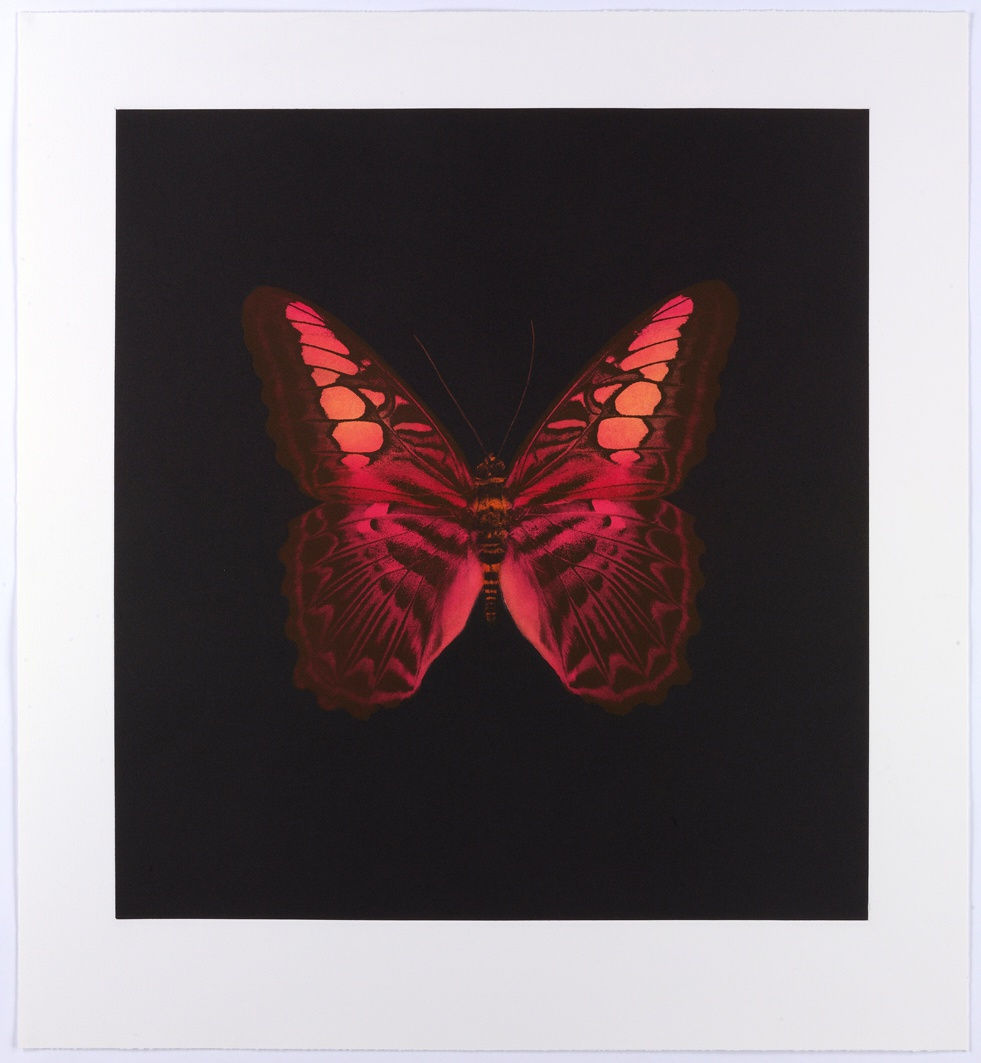 Damien Hirst red butterly artwork