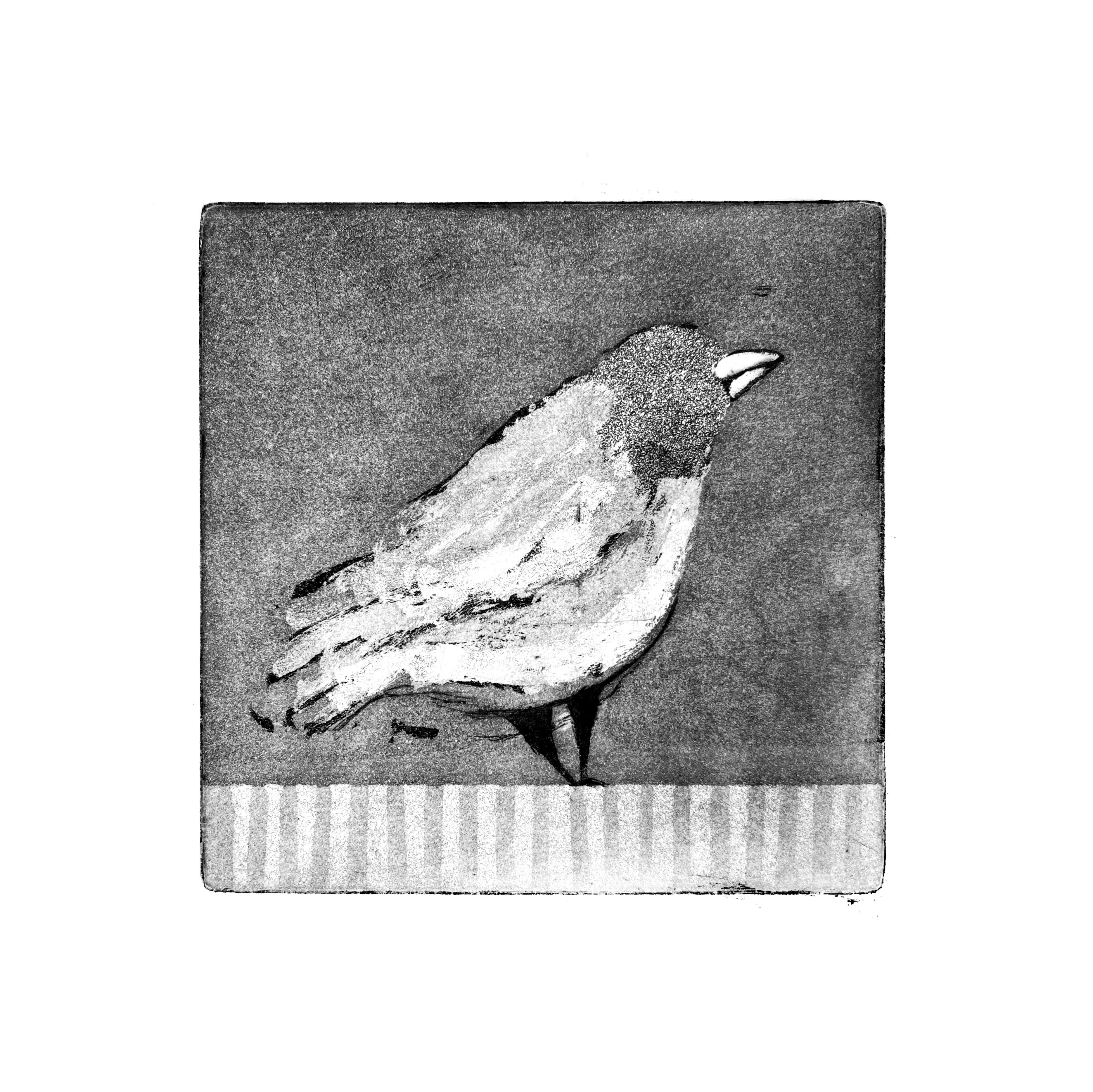 Artist Mousa AlNana Bird Print