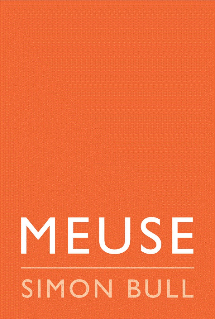 h.image_alt_tag(record=row)