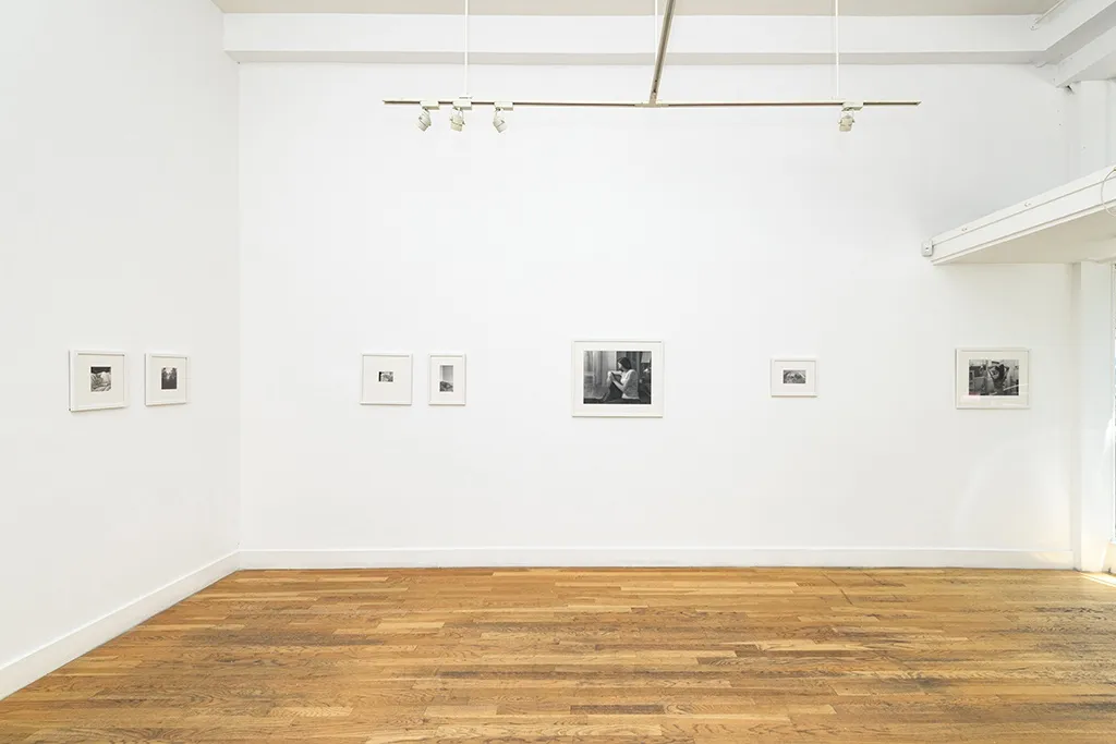 Installation image from Zachary Oldenkamp's "Mercy of the Mundane"