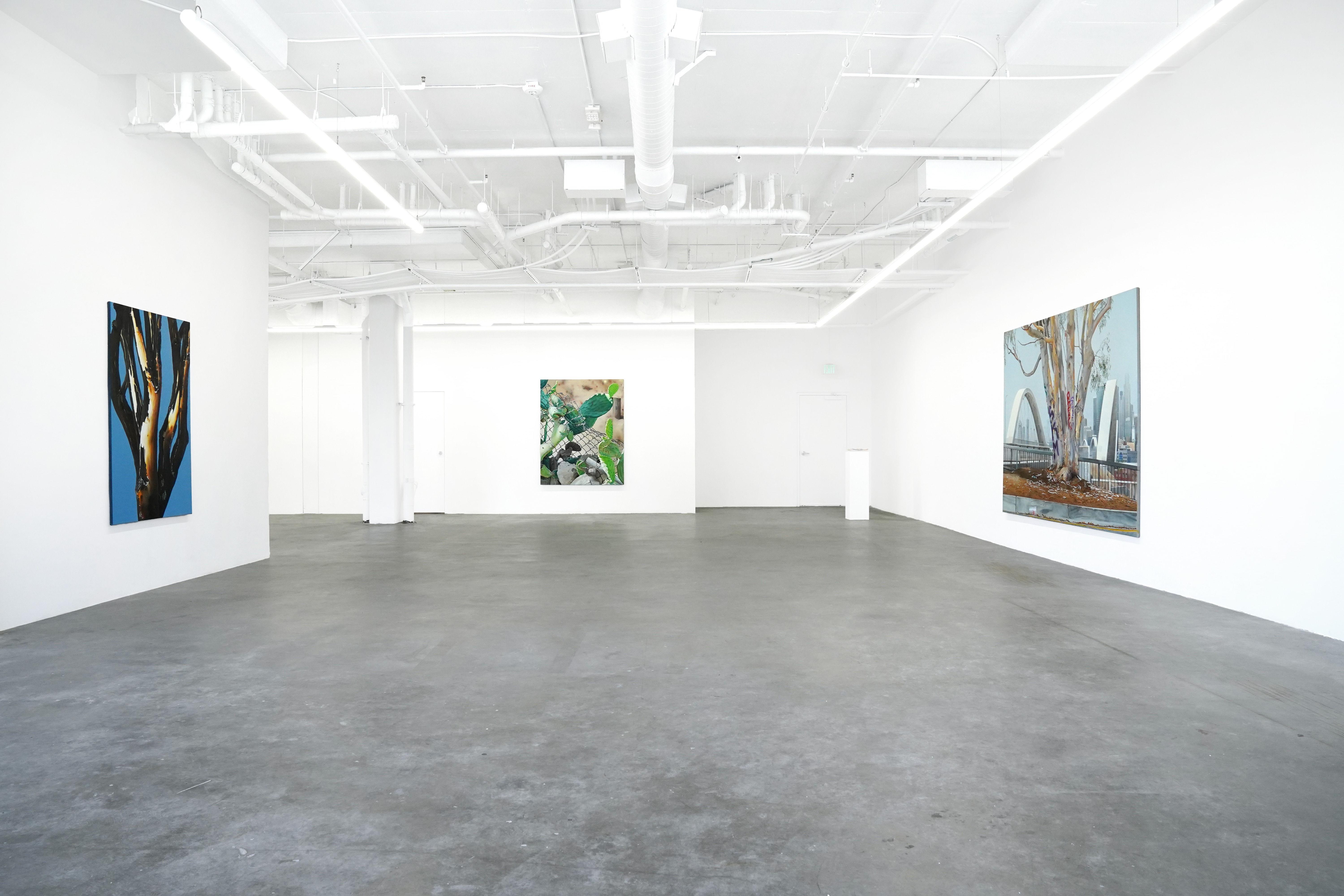 photo of the gallery with paintings hangiing on the wall