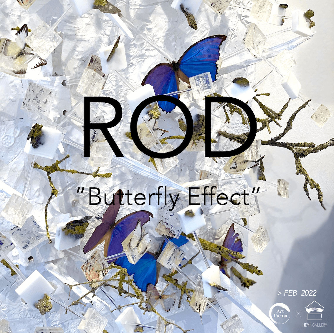 butterfly art installation rod exhibition art yi gallery brussels