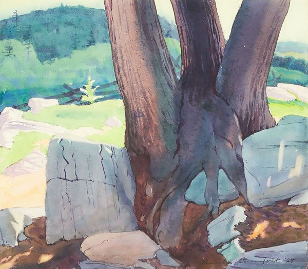 The Basswood Tree; Near Crow's Landing, Stoney Lake, ON, 1925