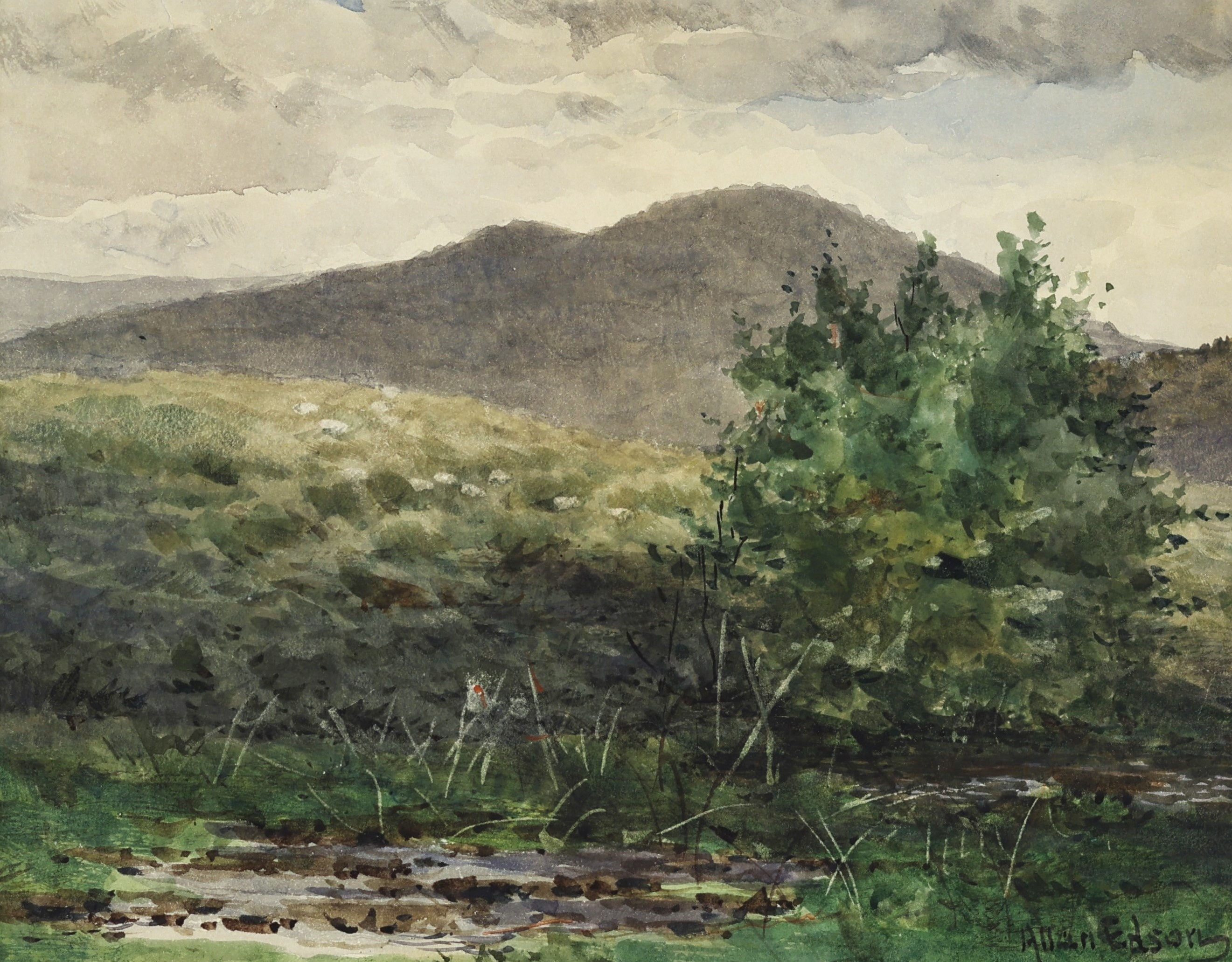 Aaron Edson; Gentle Waters, Silent Hills