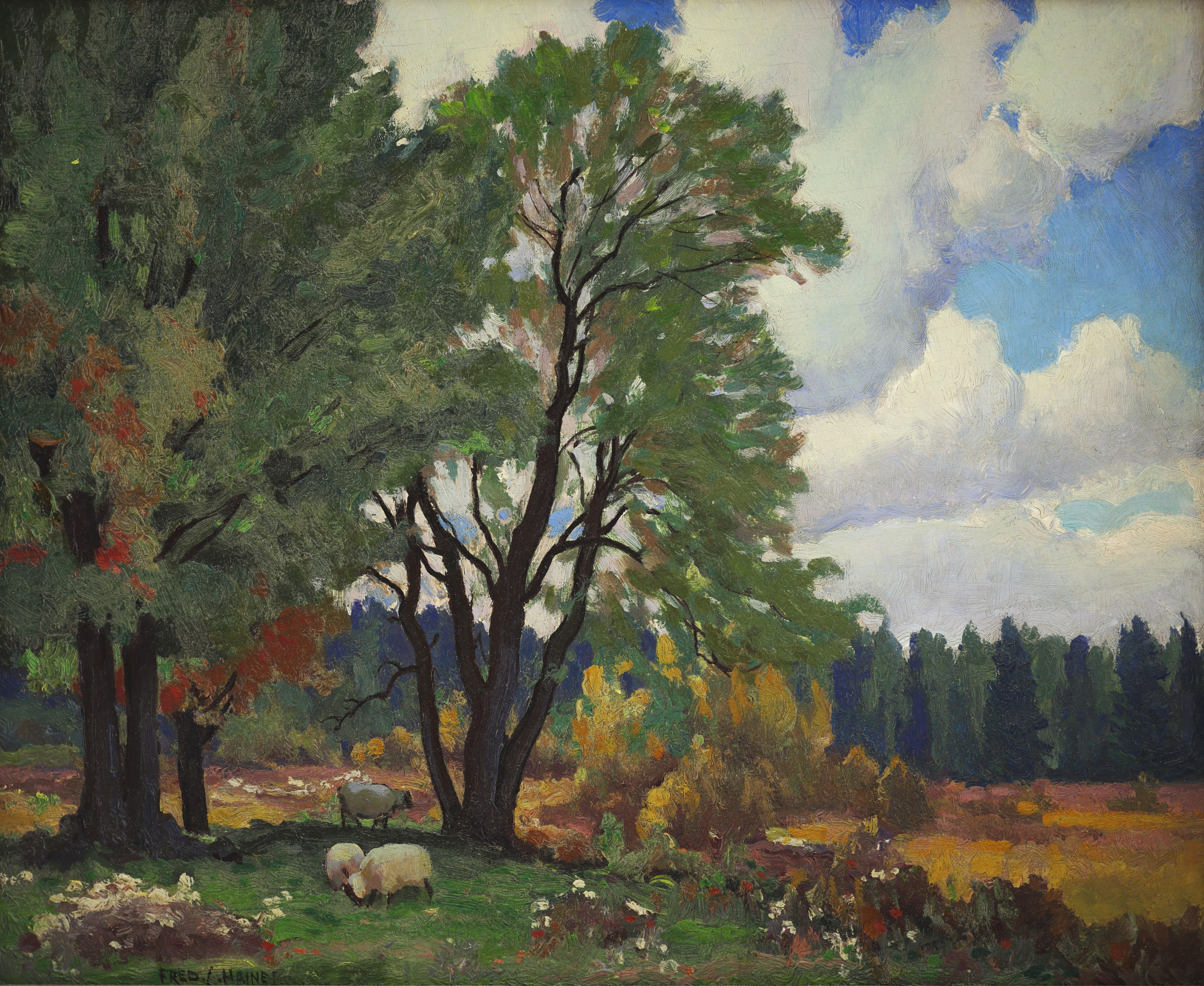 Frederick Stanley Haines; Shadows and Sheep