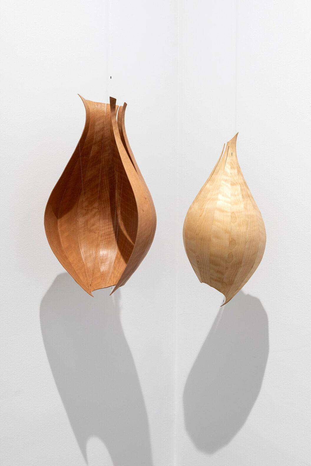 Alison Croney Moses Cupped Artworks