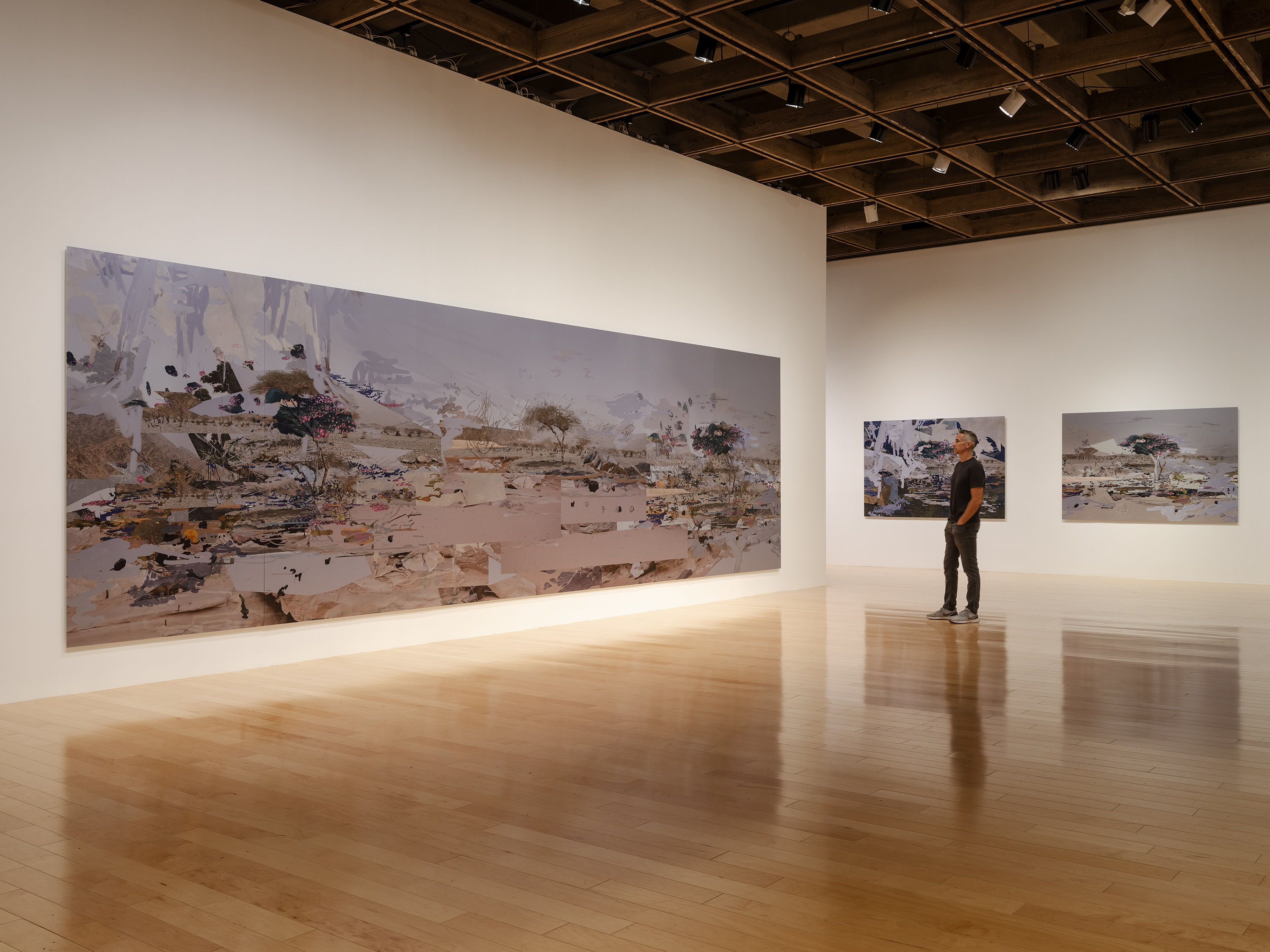 Installations shots from Petra Cortright's solo exhibition at Palm Springs Art Museum