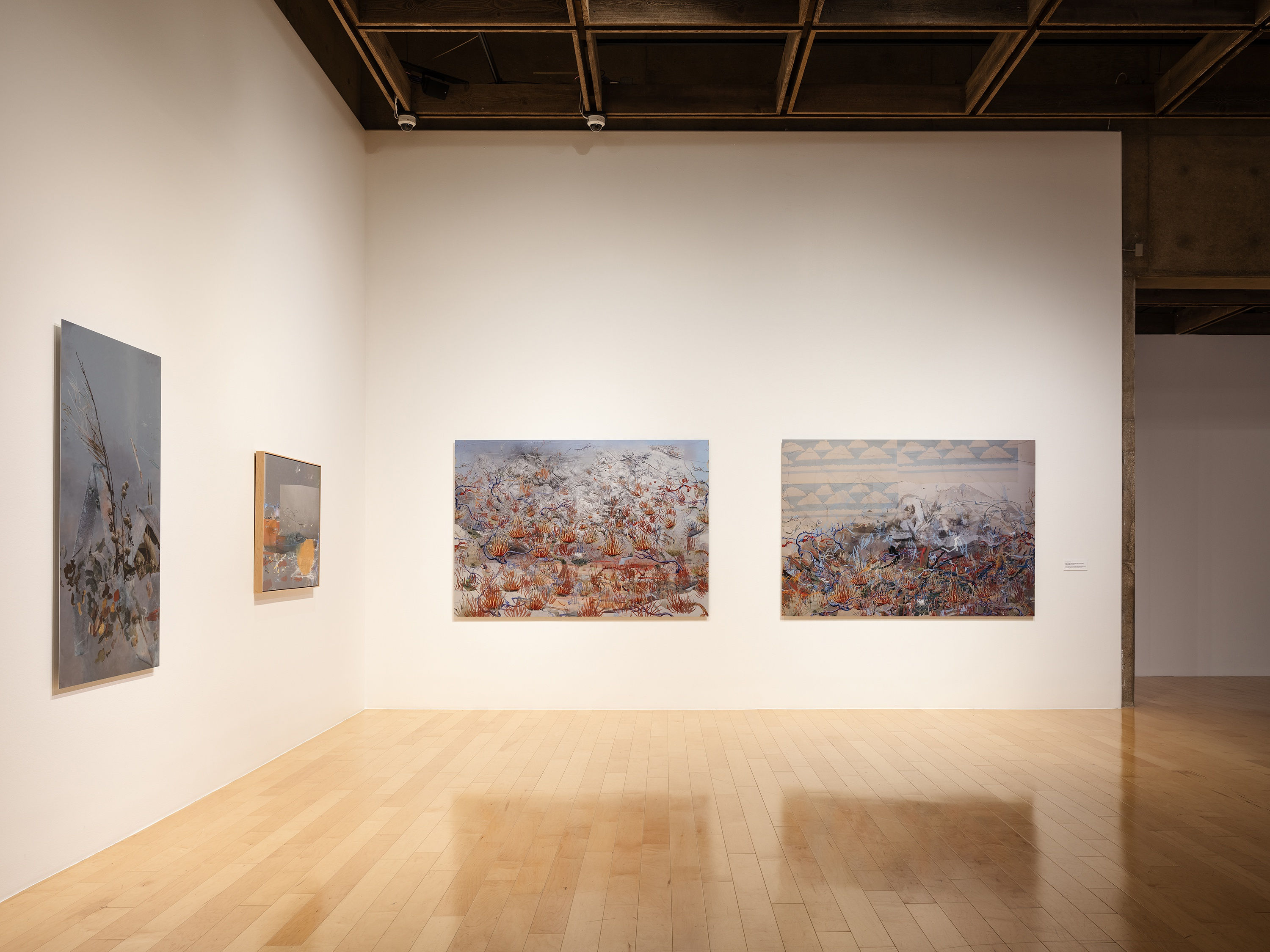 Installations shots from Petra Cortright's solo exhibition at Palm Springs Art Museum