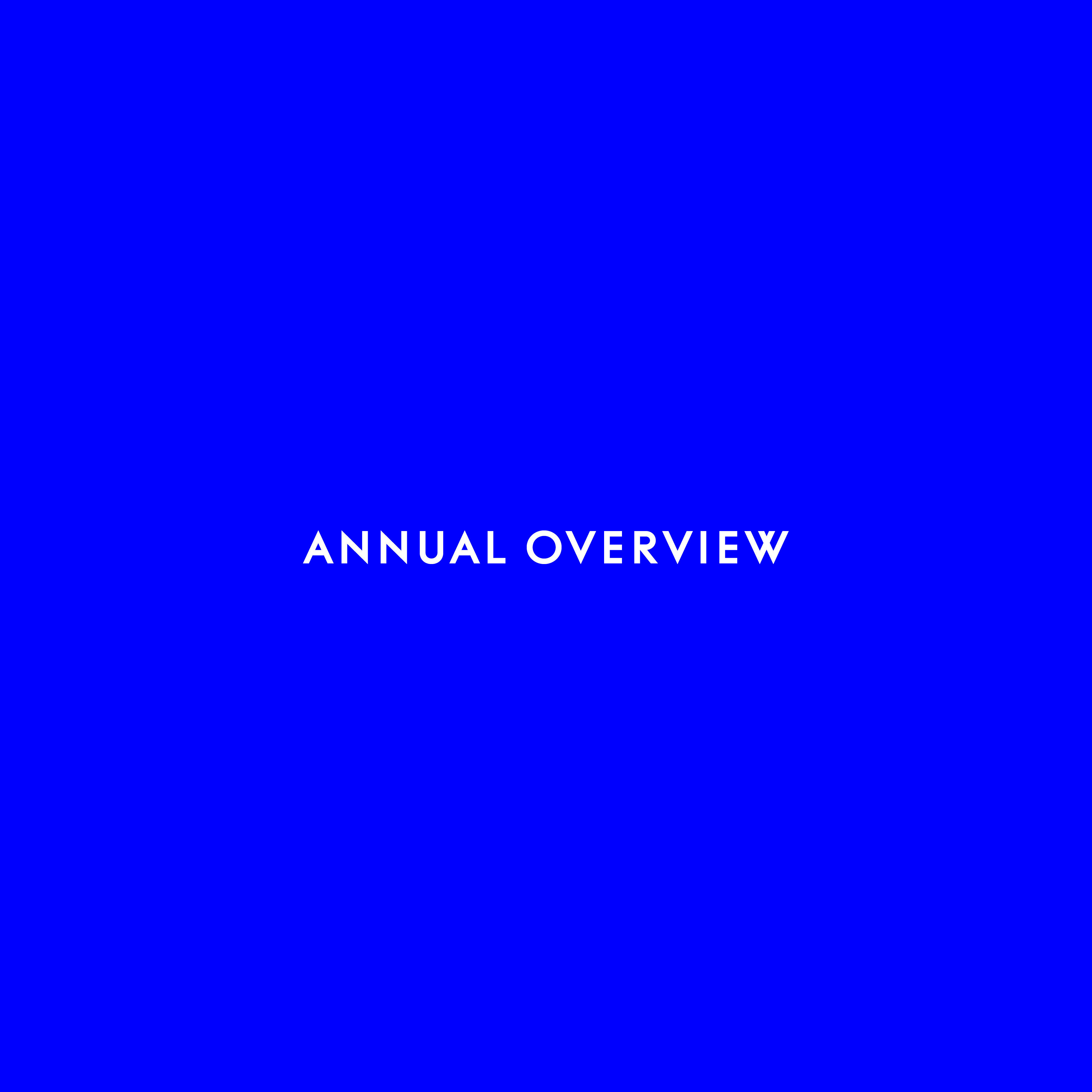 Annual Overview, Buysse Gallery 2025