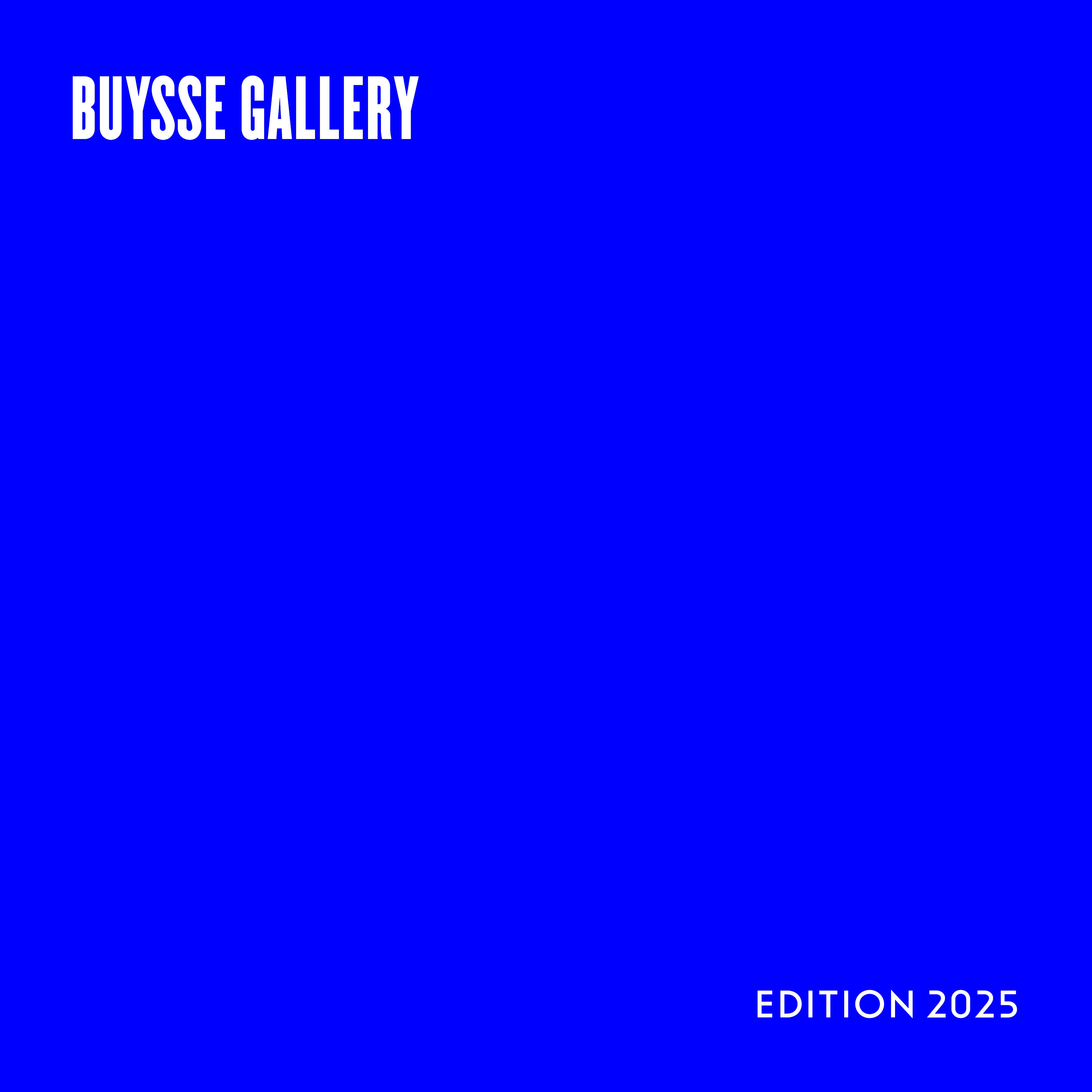 Magazine Buysse Gallery, 2025