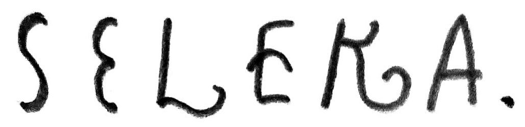 Seleka Muñoz company logo