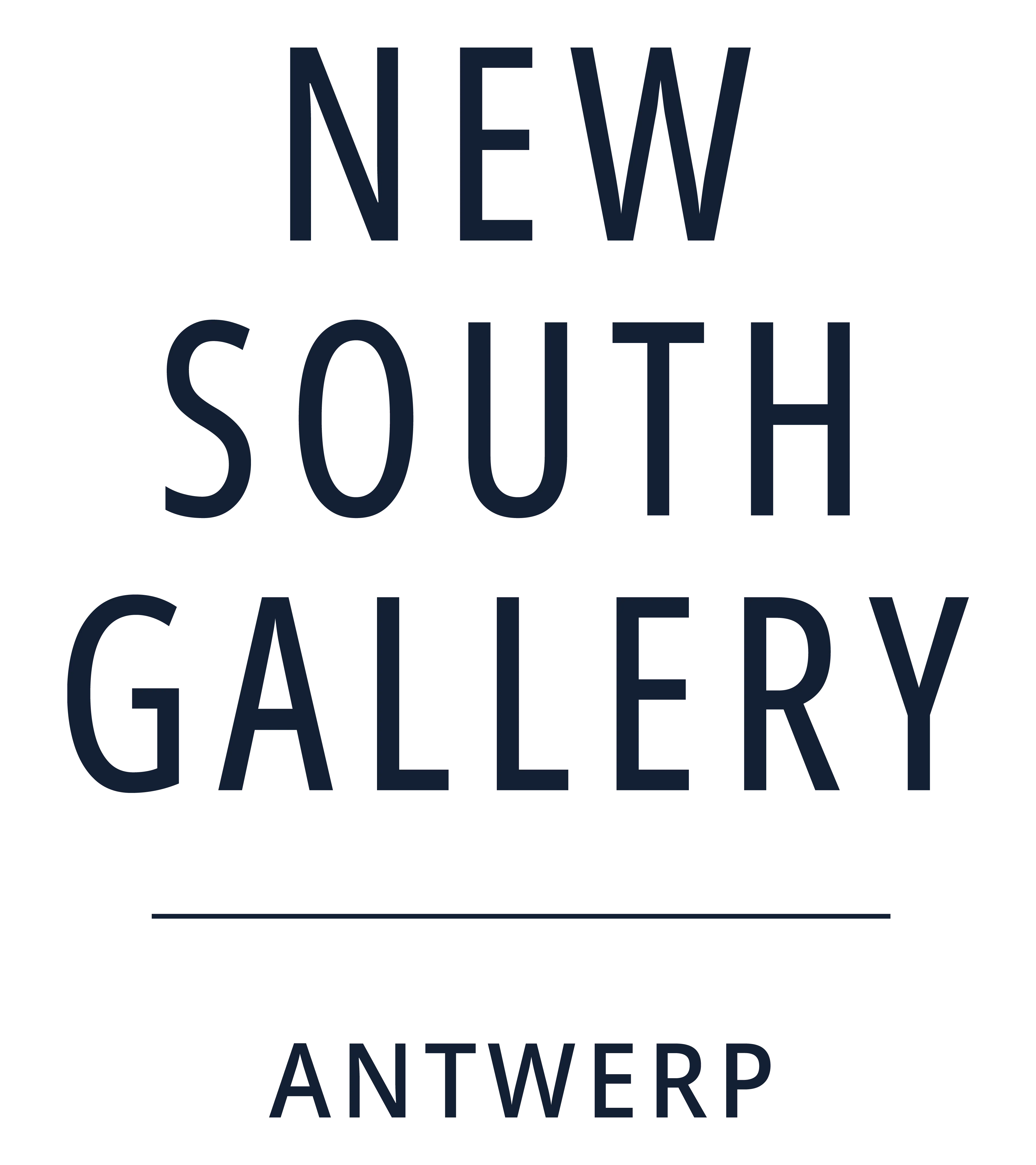 NEW SOUTH GALLERY company logo