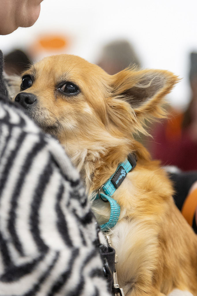 Photo from the opening reception of the group exhibition 