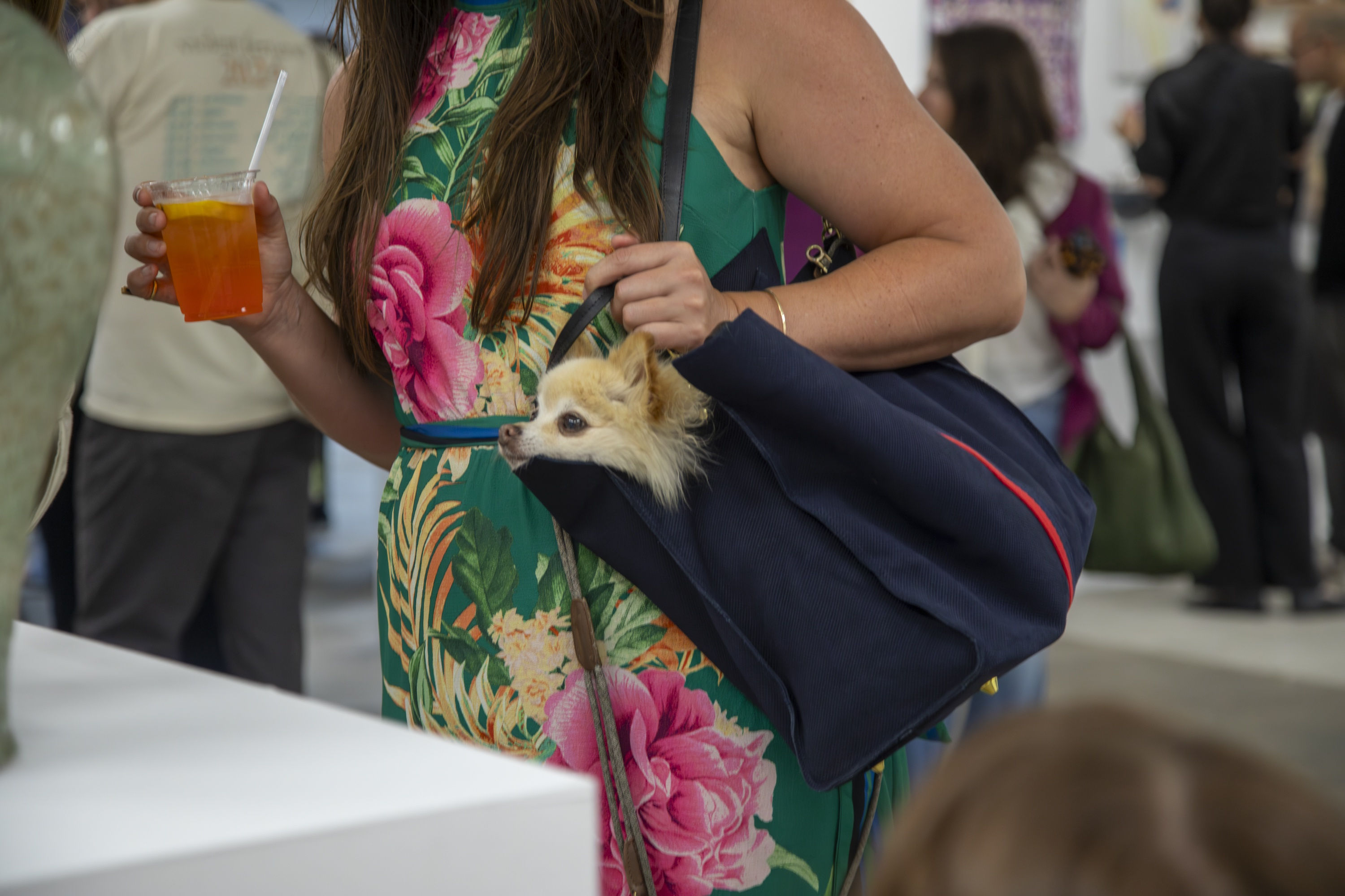 A small dog in a purse looks at the artwork on display.