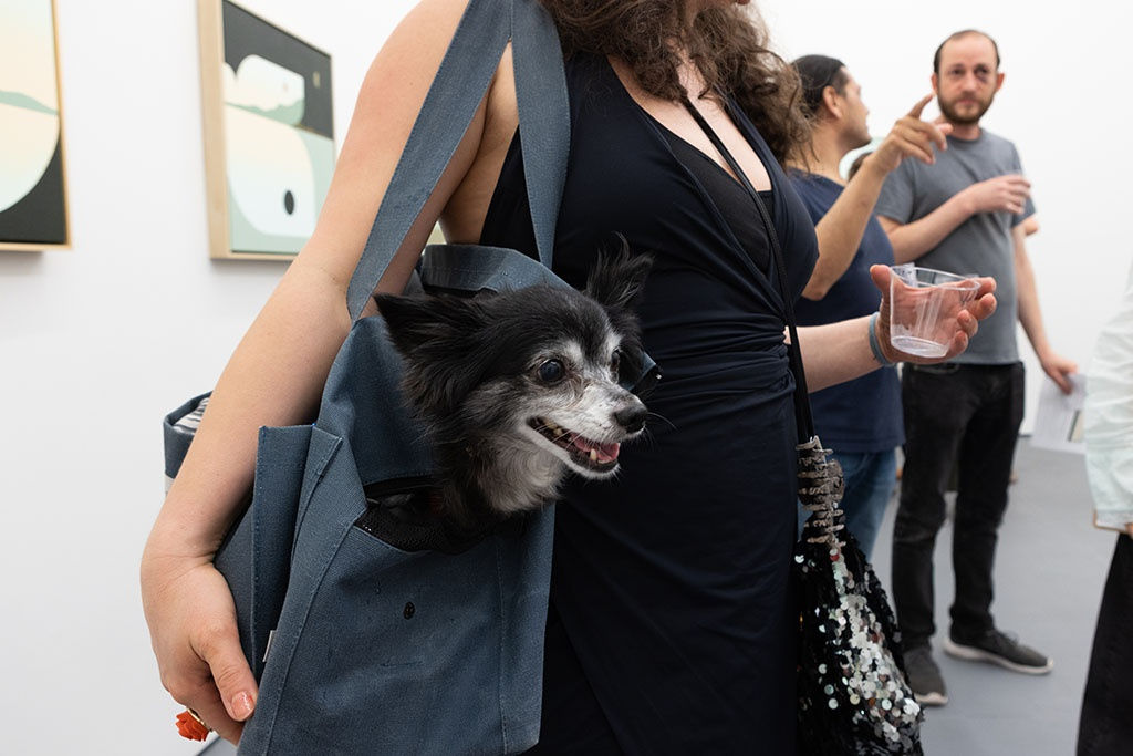 dog in a bag at the opening of Madeleine Tonzis The Moon Underwater