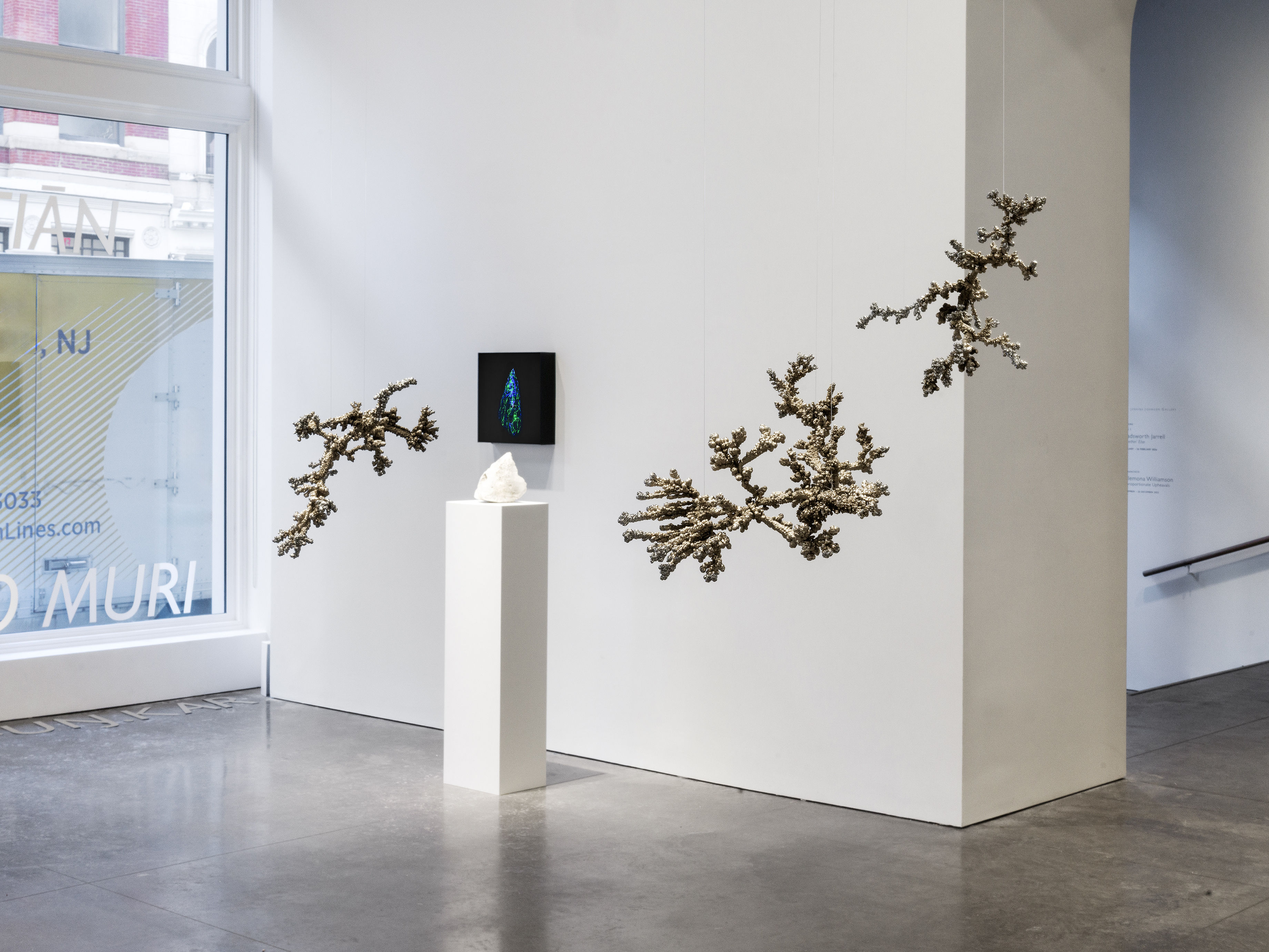 Agnieszka Kurant, Recursion