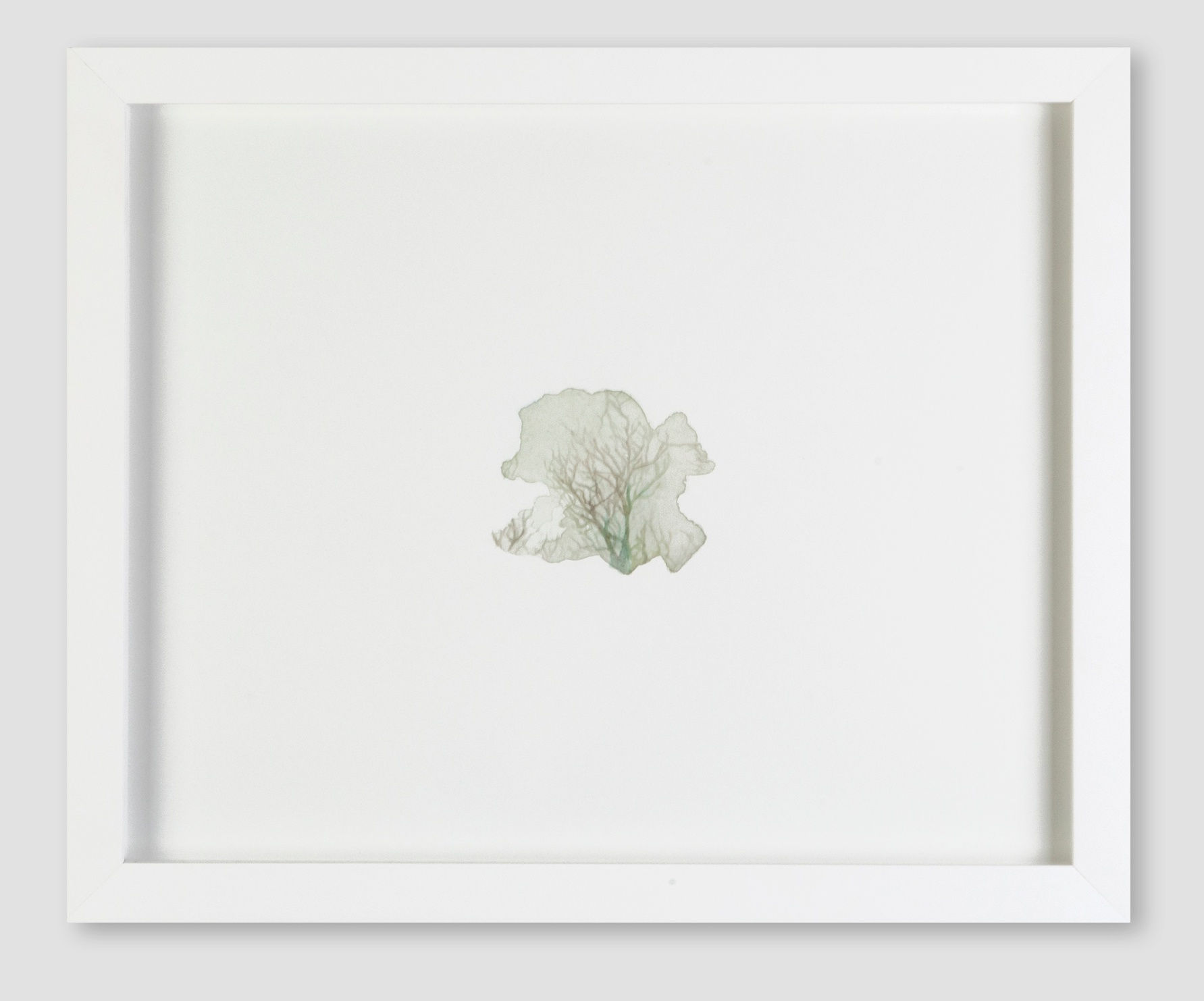 Katrina Bello at Zane Bennett Contemporary Art