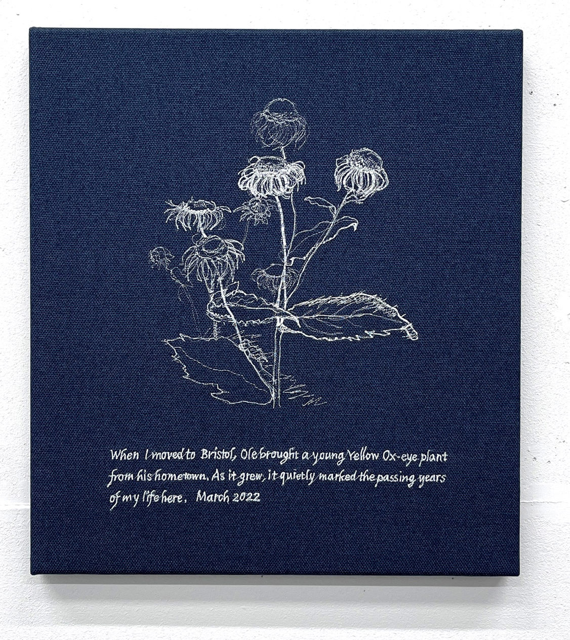 Young In Hong Drawing Plants, March 2022, 2025