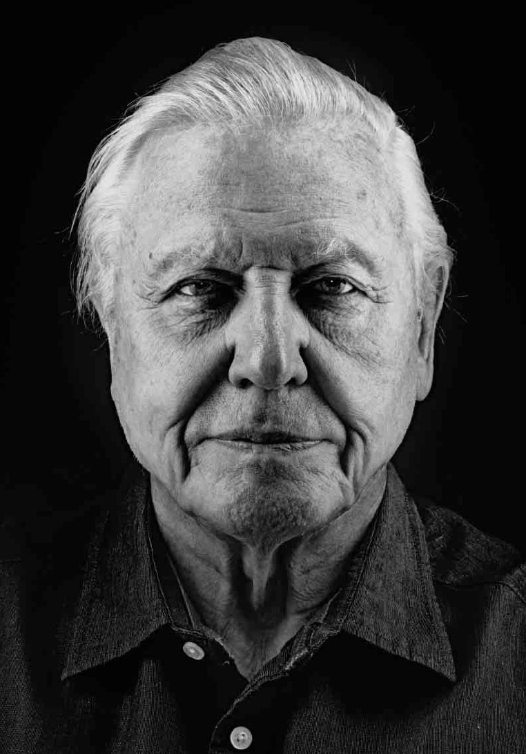 Nadav Kander, David Attenborough I, London, England, 2012