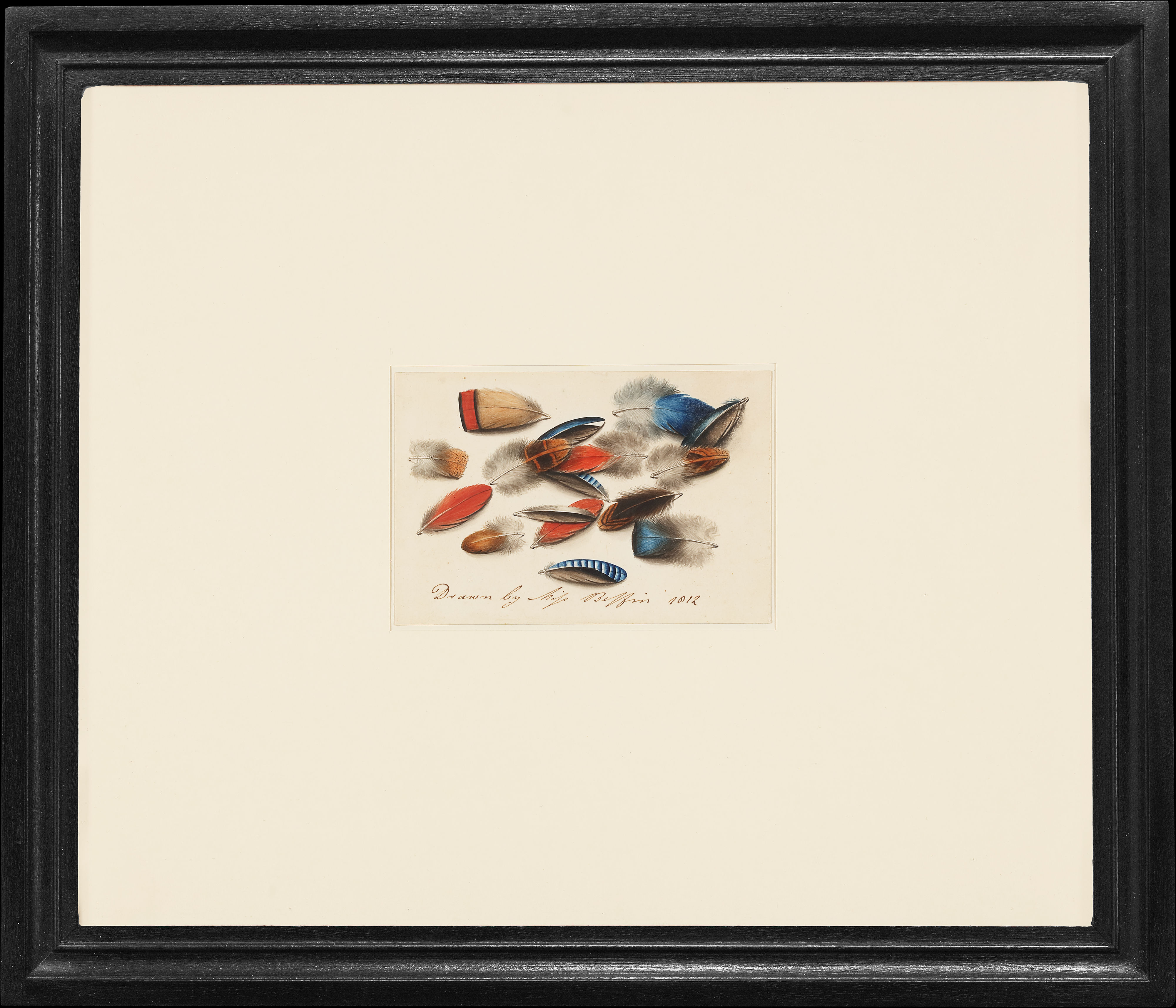 sarah biffin feathers