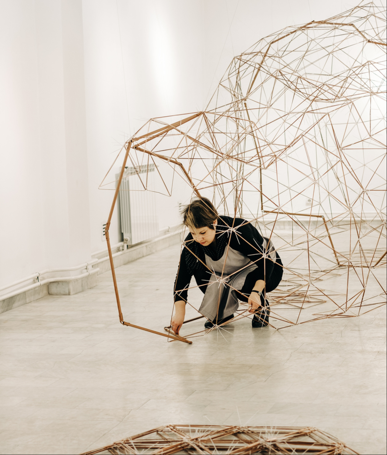 Artist installing software