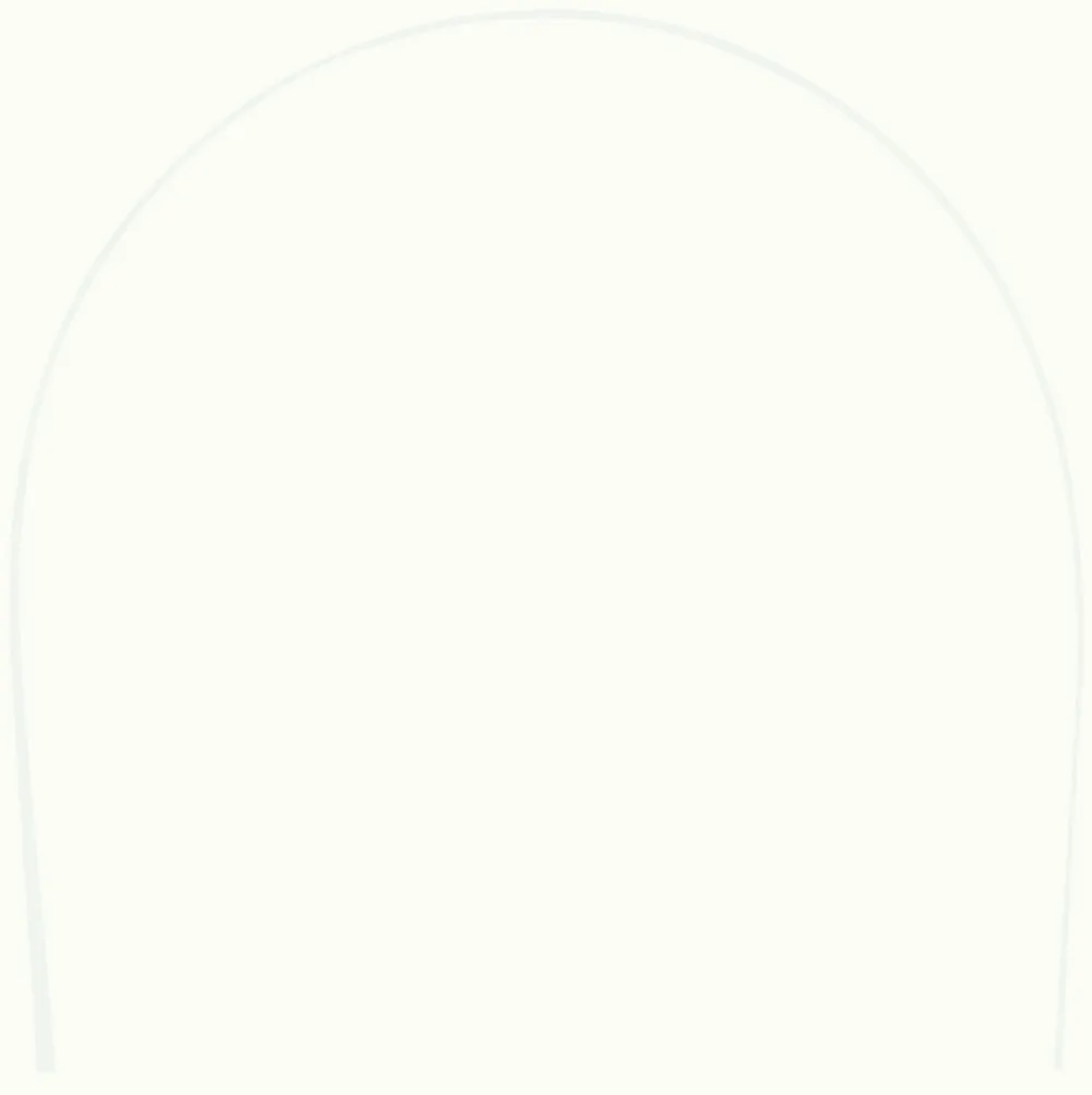 White with White Arch