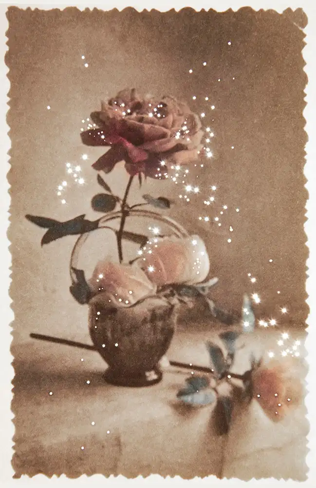 Amy Friend, Their Still Life