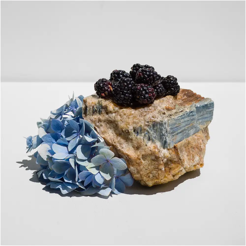 Carolyn Carr, Sunday's Blackberries