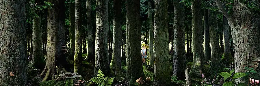 Ruud van Empel, Theatre #4, 2011