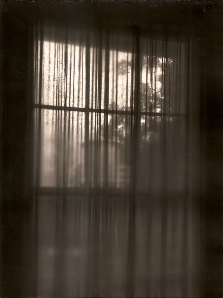 Carolyn Carr, Landing, 2016-2018