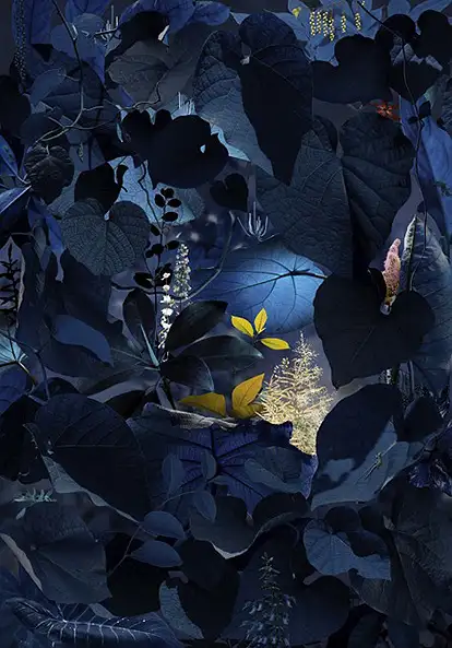 Ruud van Empel, Floresta Negra #5, 2018