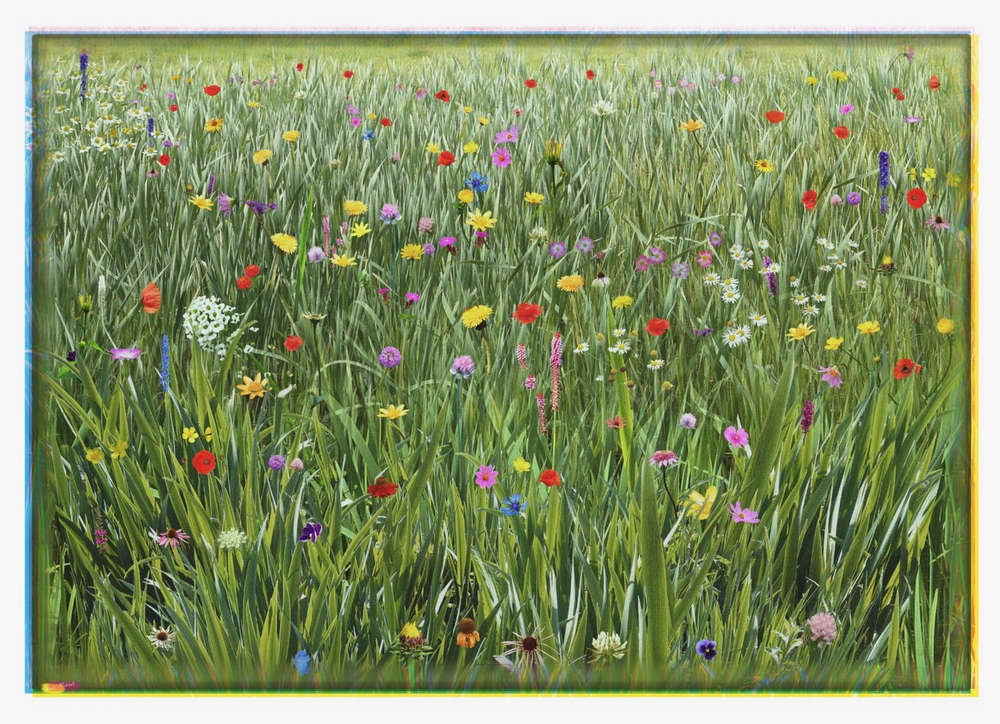 Ruud van Empel, Van Gogh #8, 2020