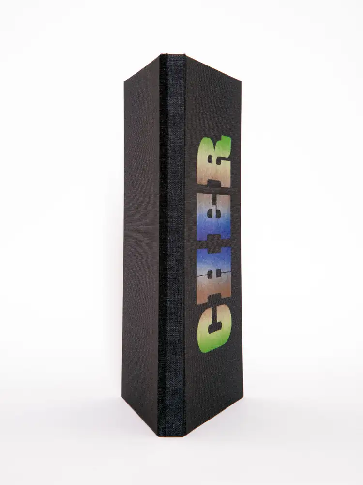 Michael Stipe, Cher, Book Cover, 2020