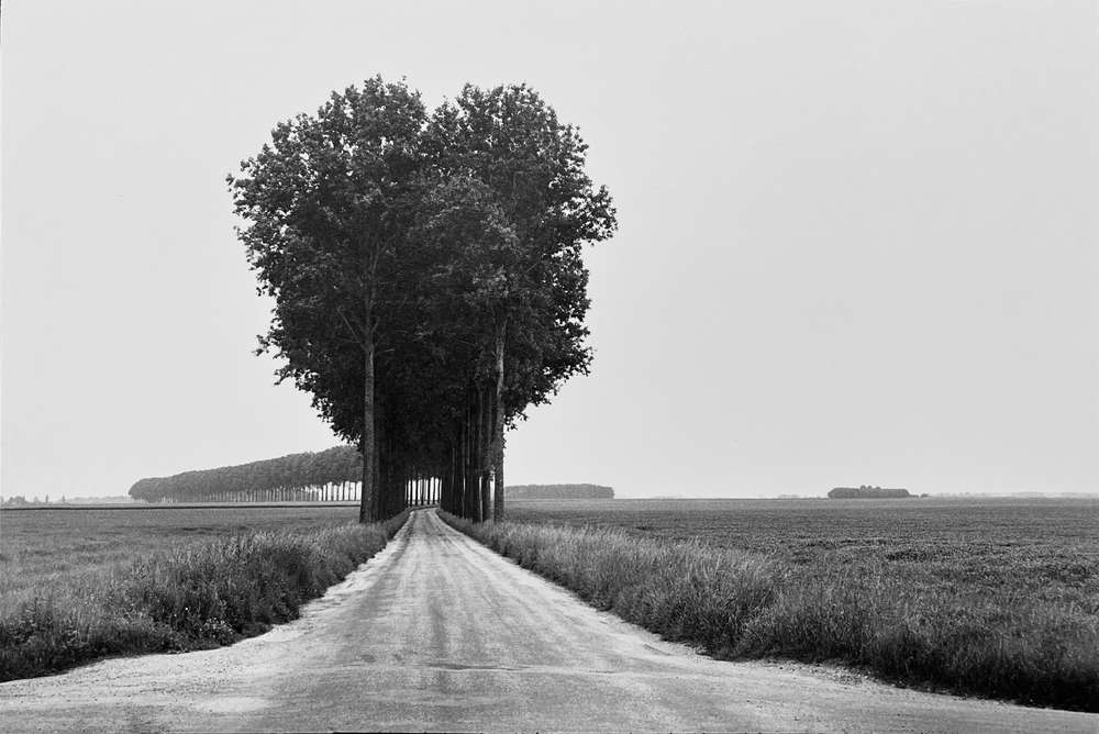 Henri Cartier-Bresson, Brie, France, 1968