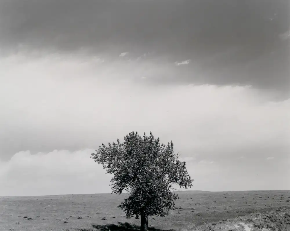 Robert Adams, Pawnee National Grasslands, Colorado, 1984