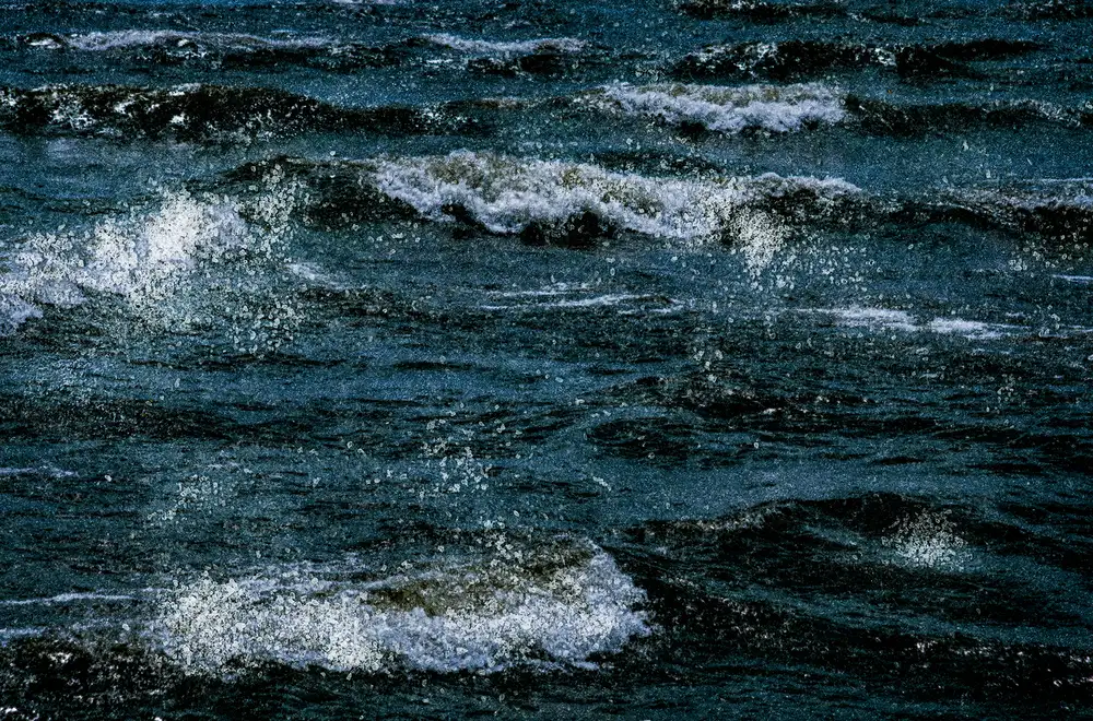 Amy Friend, Endothelium waves