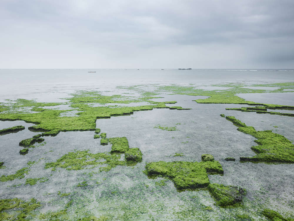 Josef Hoflehner, Japan, 2013