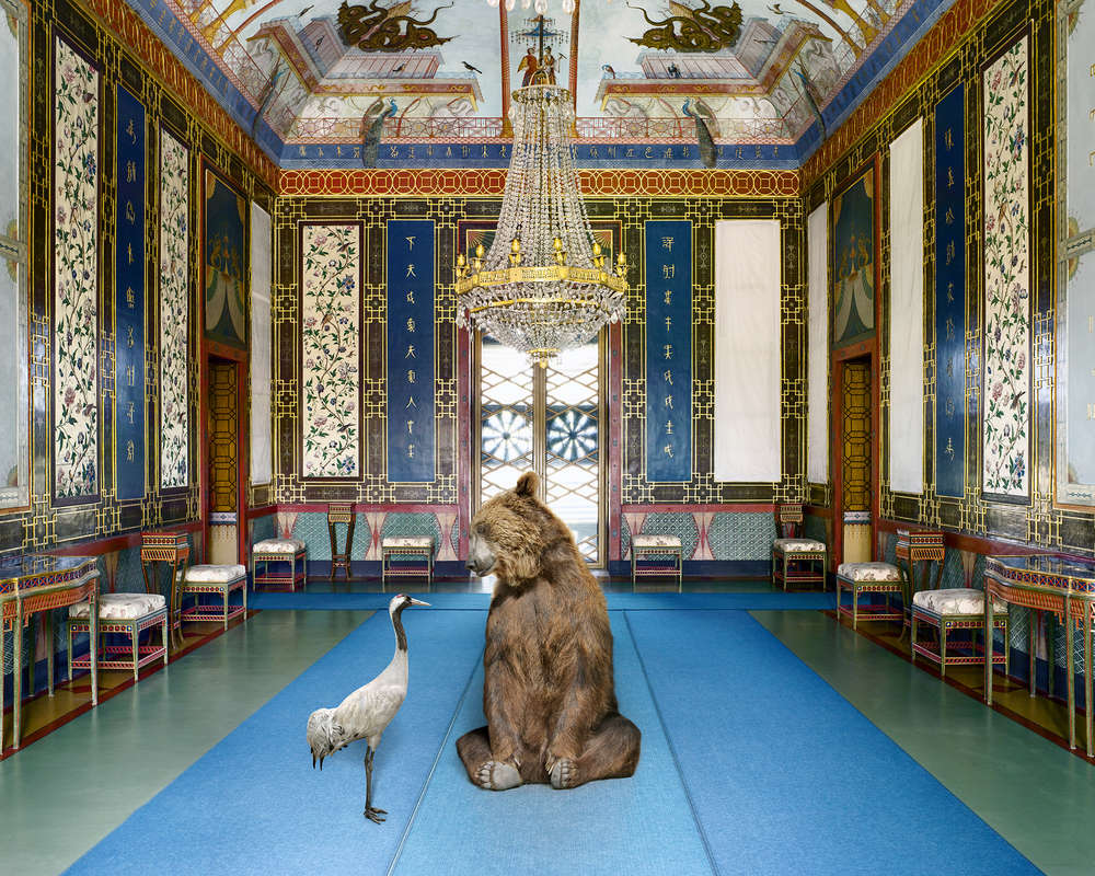 Karen Knorr, Callisto’s Despair, Palazzina Cinese, 2017