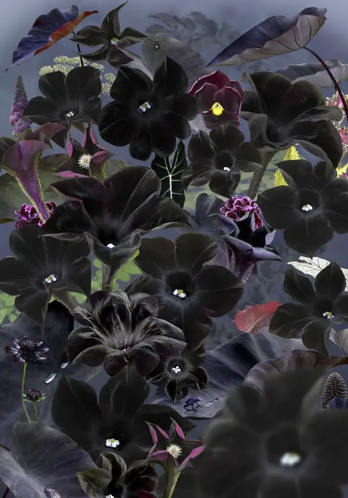 Ruud van Empel, Floresta Negra #1, 2018