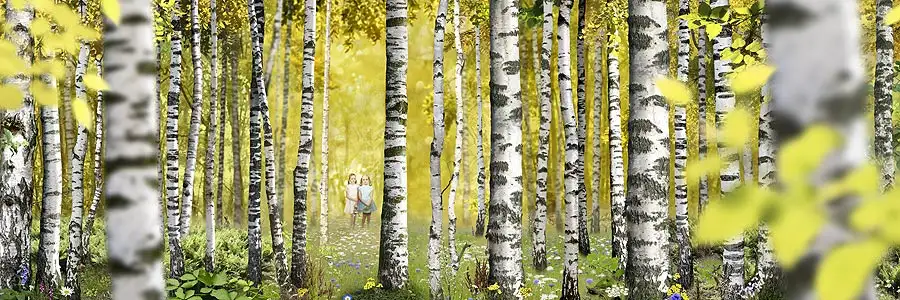 Ruud van Empel, Theatre #6, 2011