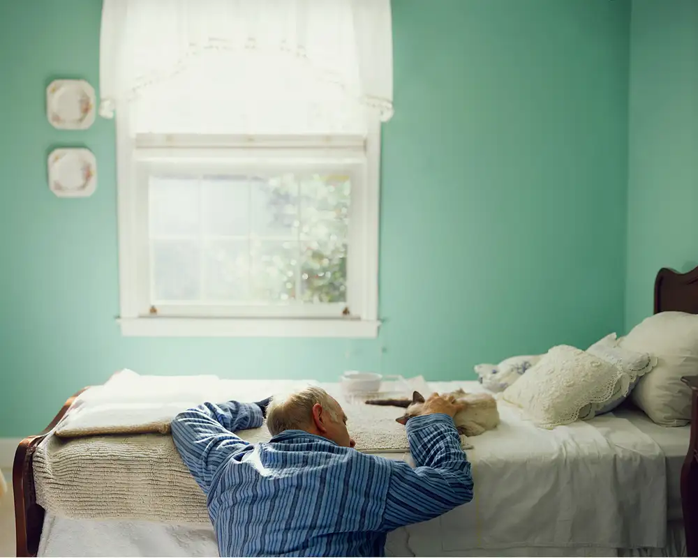 Angela West, Gracie #1, 2016