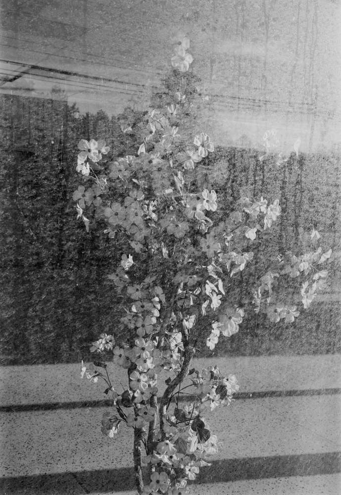 Mark Steinmetz, Bristol, Virginia, 2001