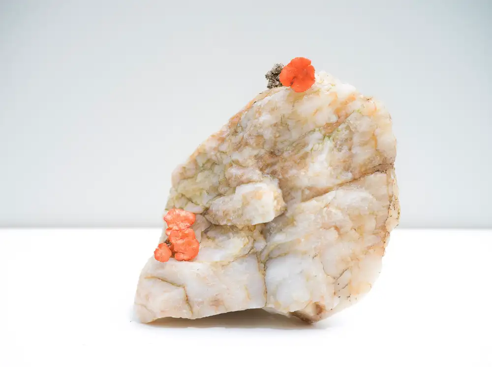 Carolyn Carr, Untitled