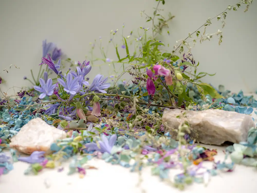 Carolyn Carr, Bouquet, 2018