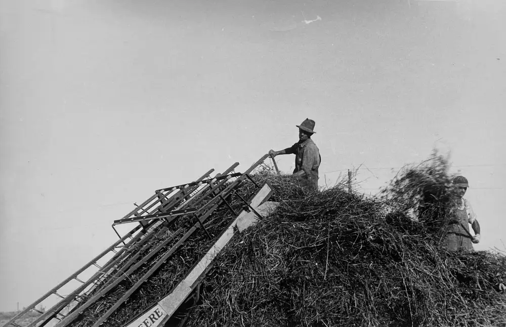 Ben Shahn, Loading hay, central Ohio, 1938